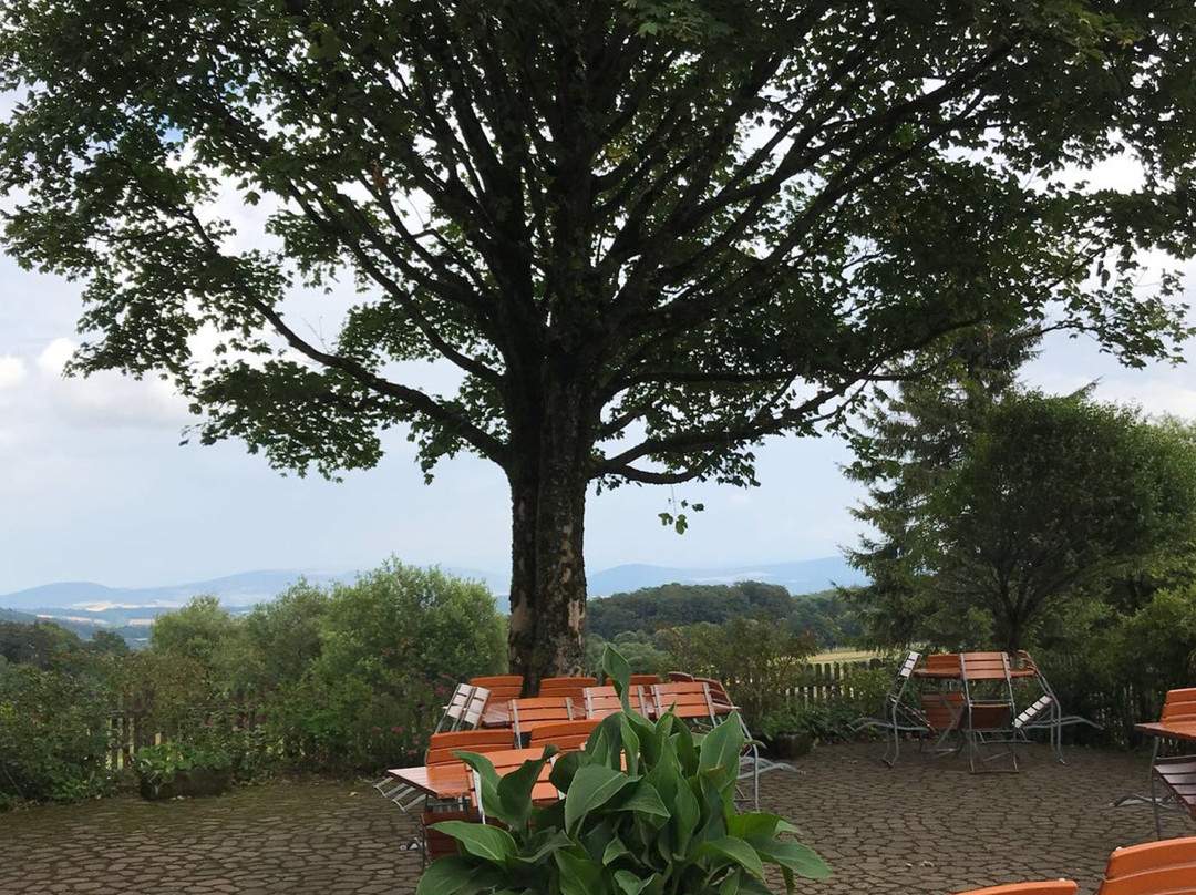 Fladungen旅游攻略图片