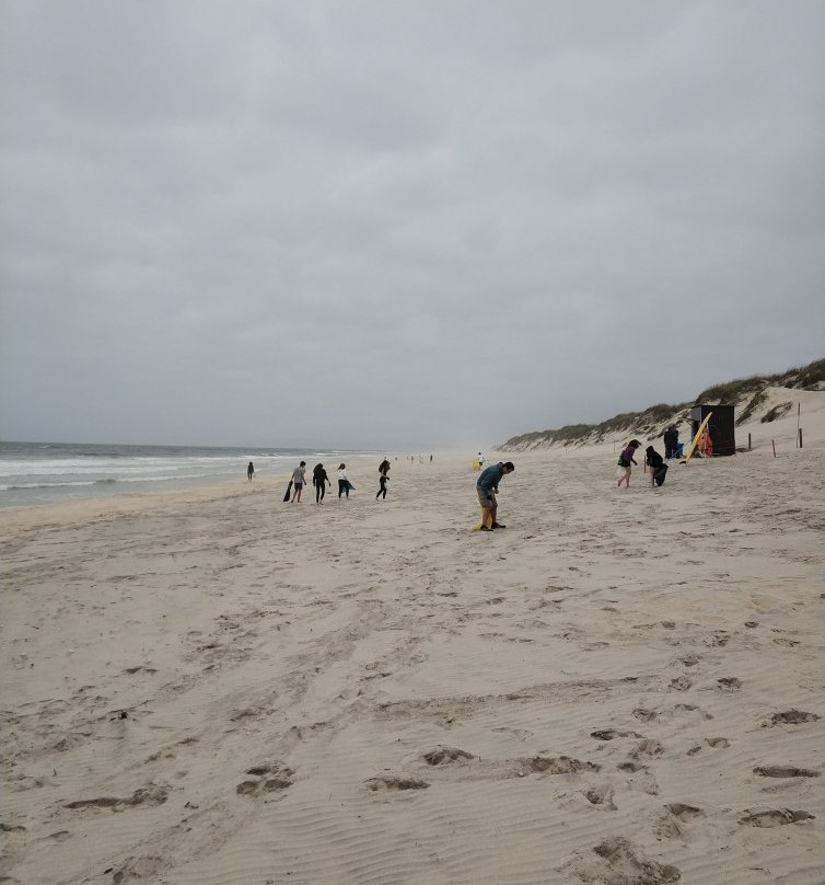 Osso da Baleia Beach景点图片