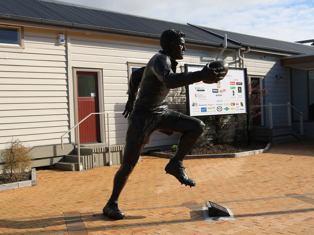 Sir Colin Meads Statue景点图片