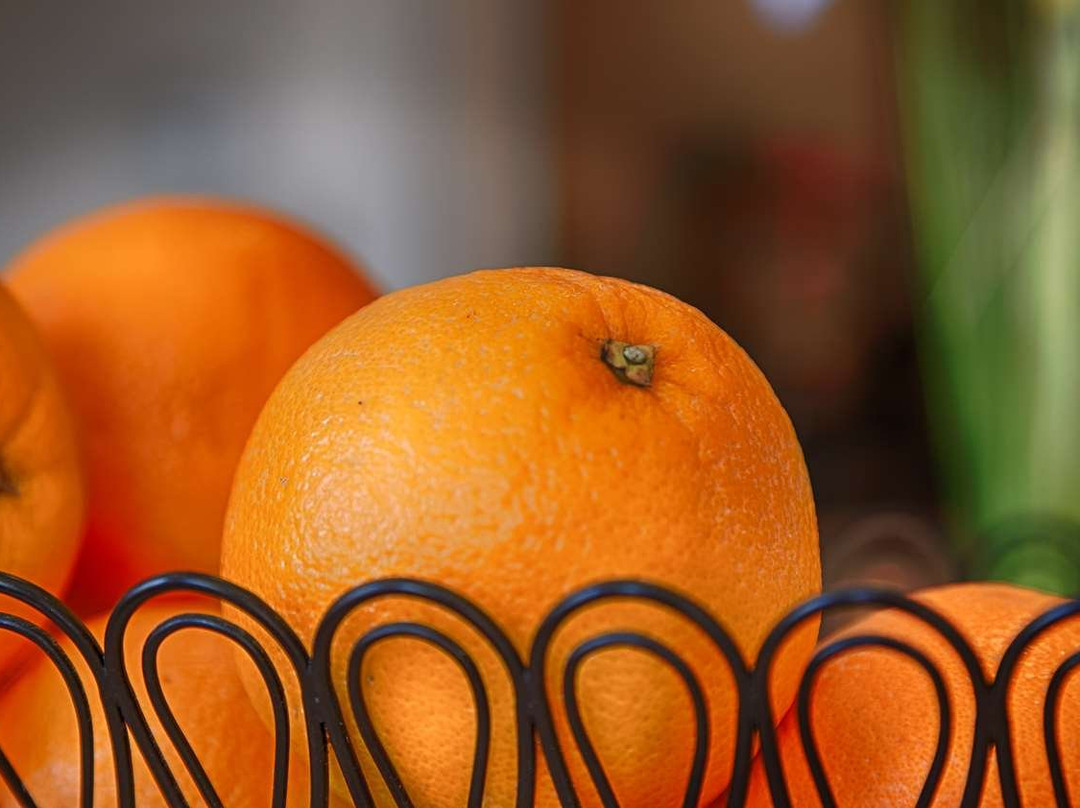 Best Western Palo Duro Canyon Inn & Suites主图