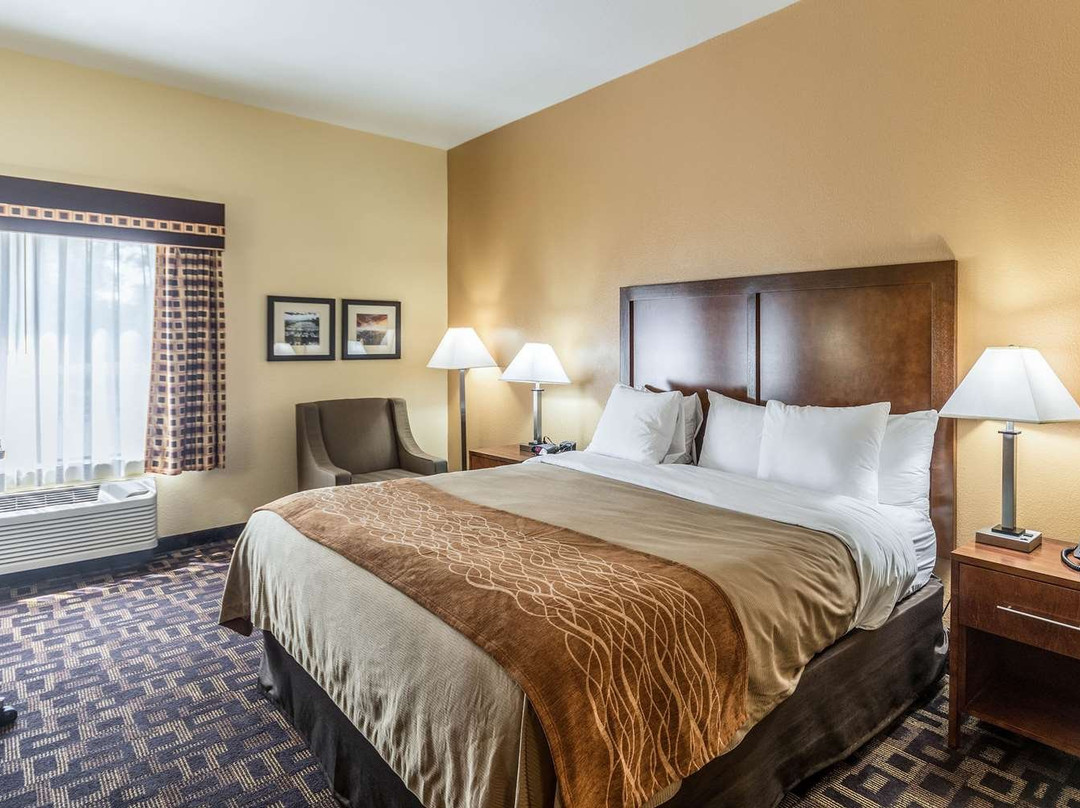 Comfort Inn & Suites North Aurora - Naperville主图