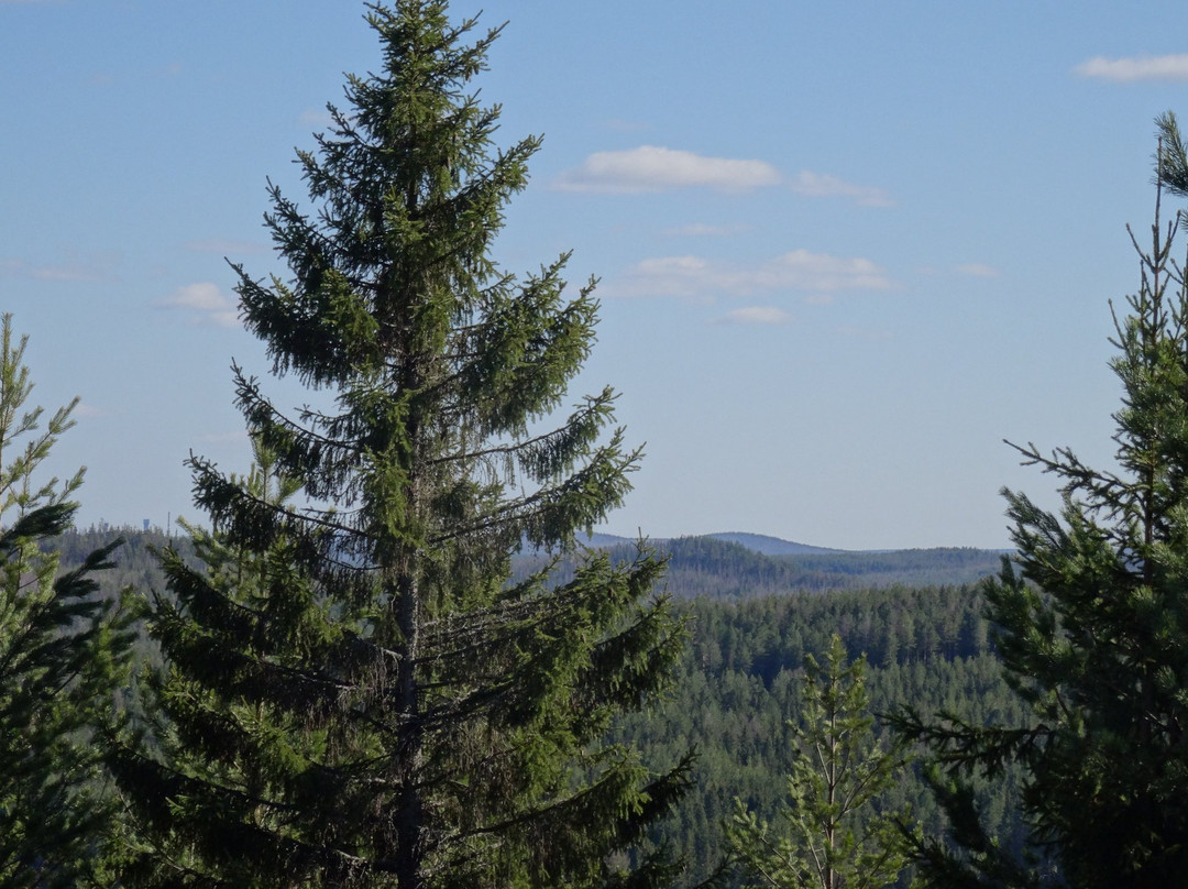 Reserve Denezhkin Kamen-Severouralsk必去景点