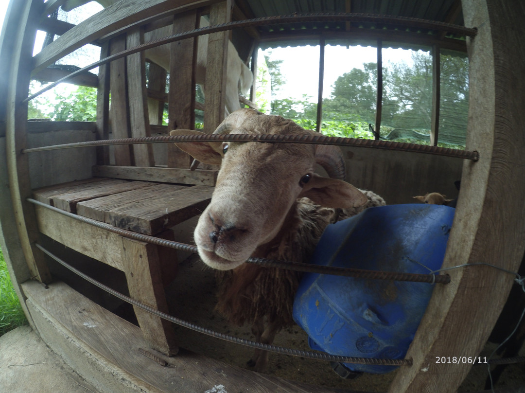 Finca El Paraiso CR - Cheese Farm Tour-Los Tornos必去景点