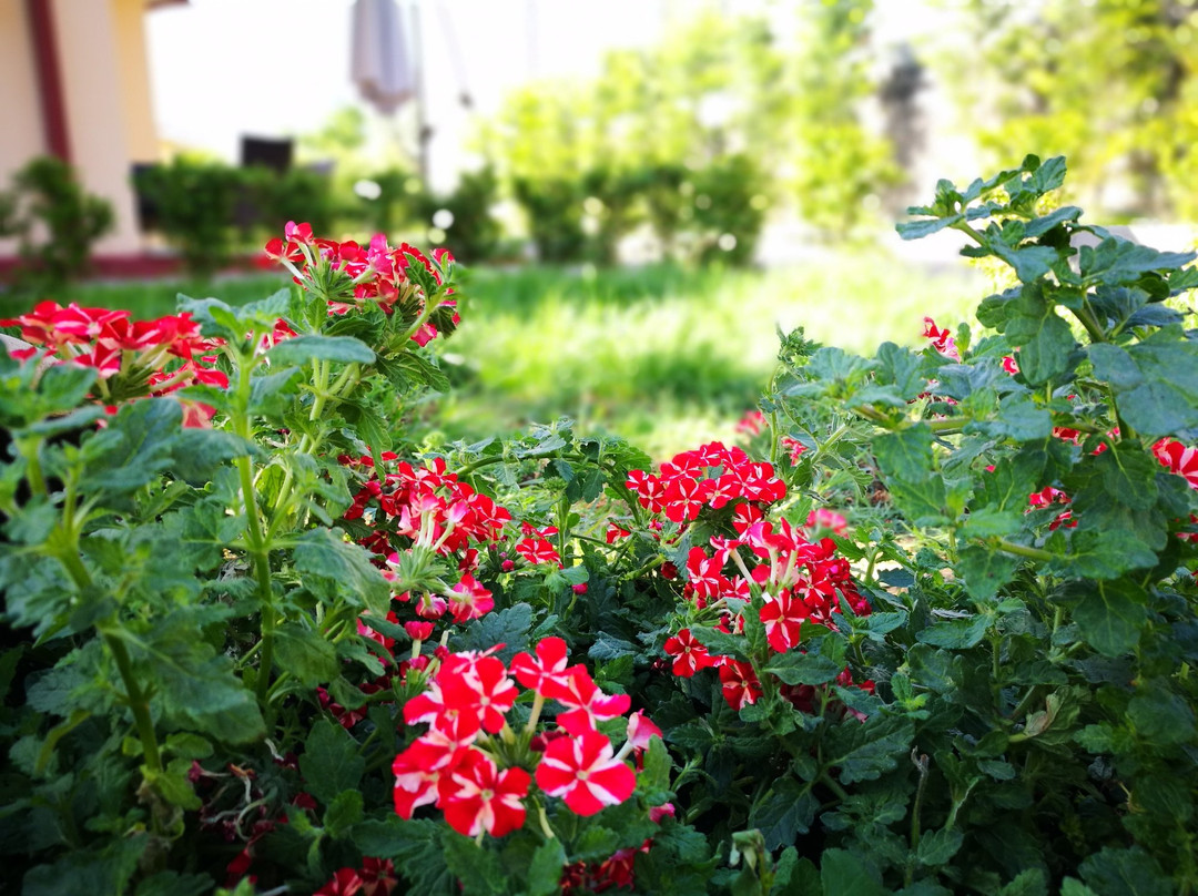 La Residenza Del Marchesato主图