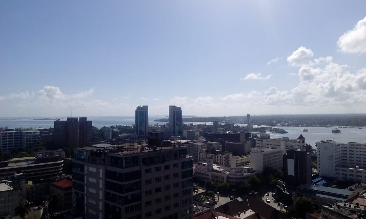 Golden Tulip Dar City Center-酒店景观