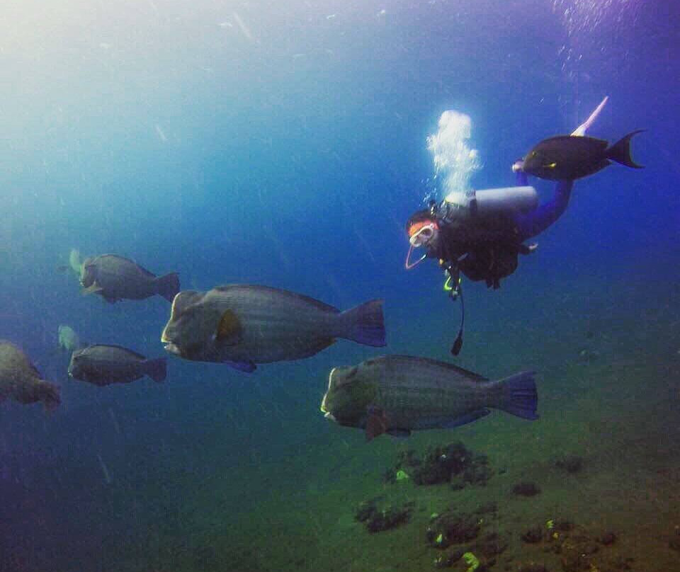 Bali Paradise Scuba-沙努尔必去景点