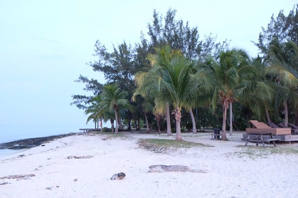 暗礁潜水度假村主图