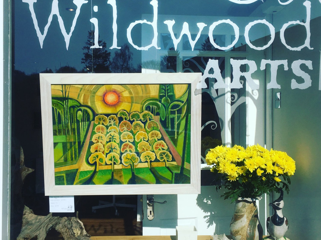 Wildwood Arts Dartmoor景点图片