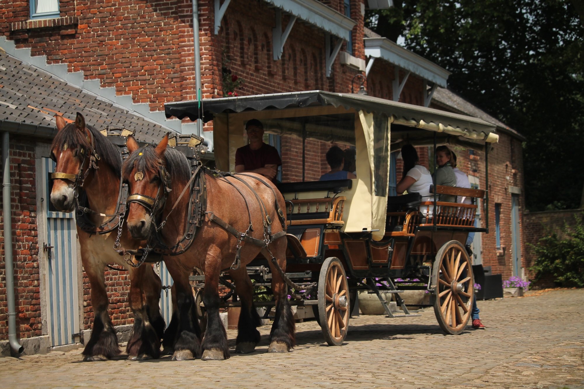 Kasteelhoeve de Tornaco-酒店景观
