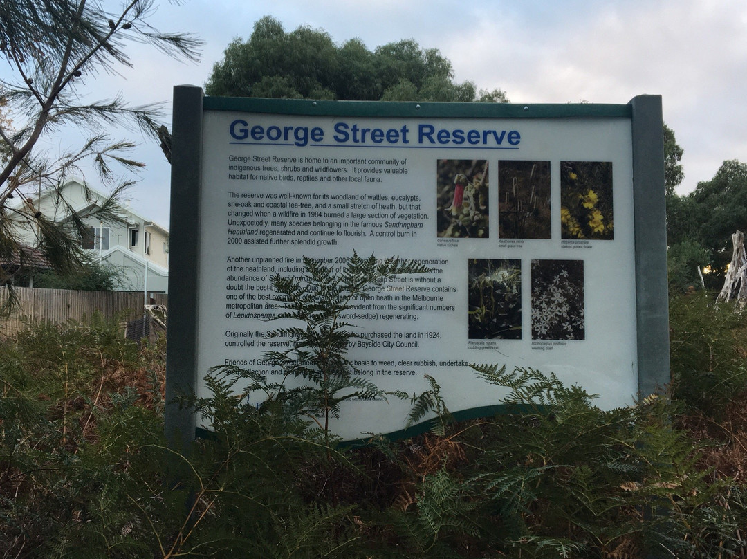 Royal Avenue Park Playground-Sandringham必去景点