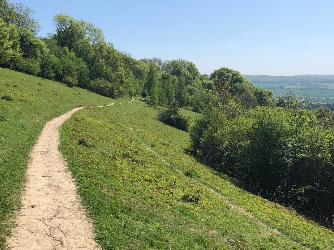 Kemsing Down Nature Reserve景点图片