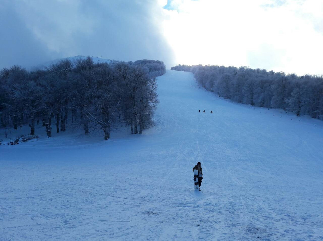 Lailias ski Cente景点图片