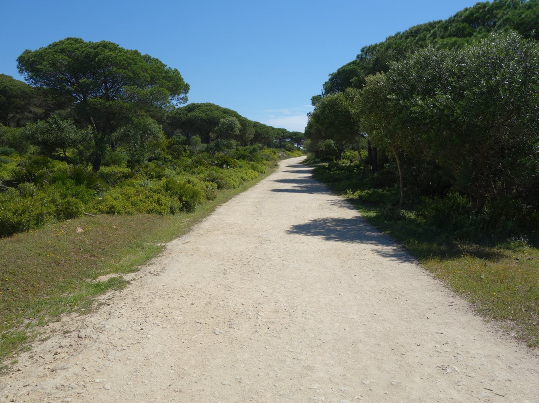 Sendero De Los Acantilados-Los Canos de Meca必去景点