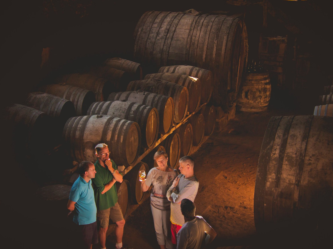 Chateau de Salles-Salles-d'Armagnac必去景点