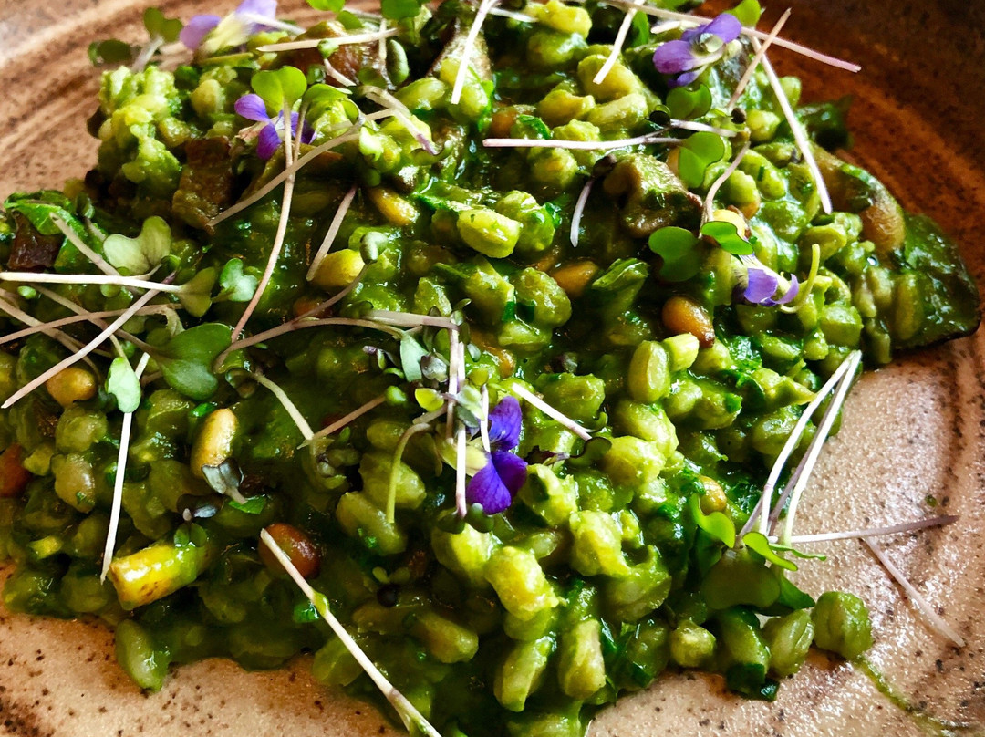 foraged. a hyper-seasonal eatery