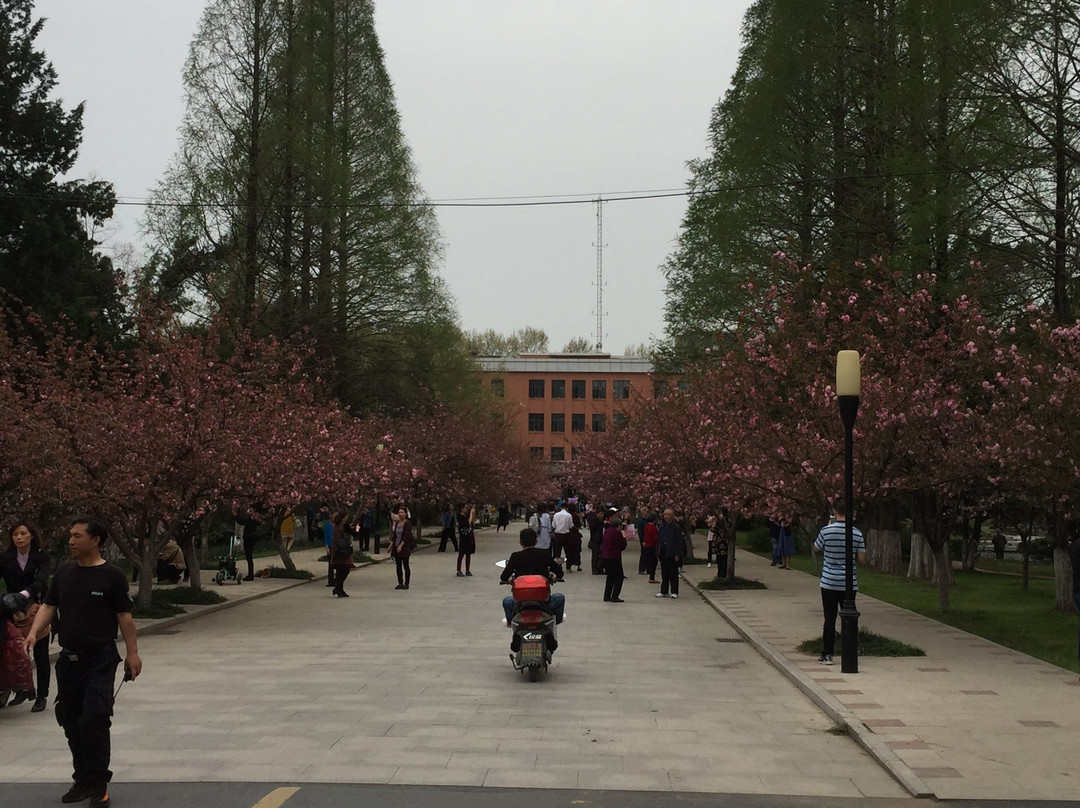 合肥中国科学技术大学景点图片