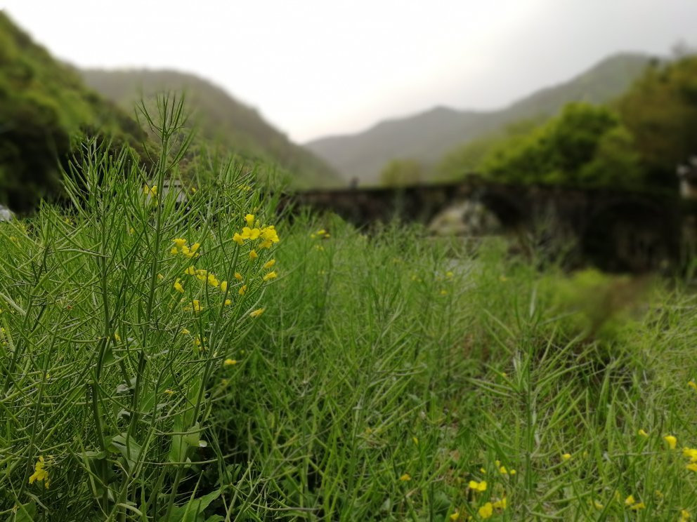 石潭村-歙县必去景点