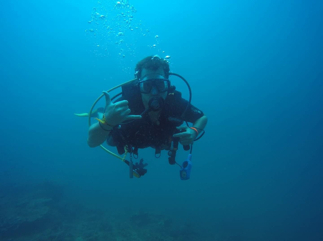 SunnyReef Divers-亚庇必去景点