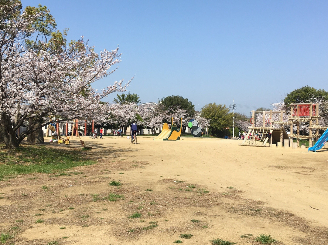 高石市旅游景点-Kamo Sports Park