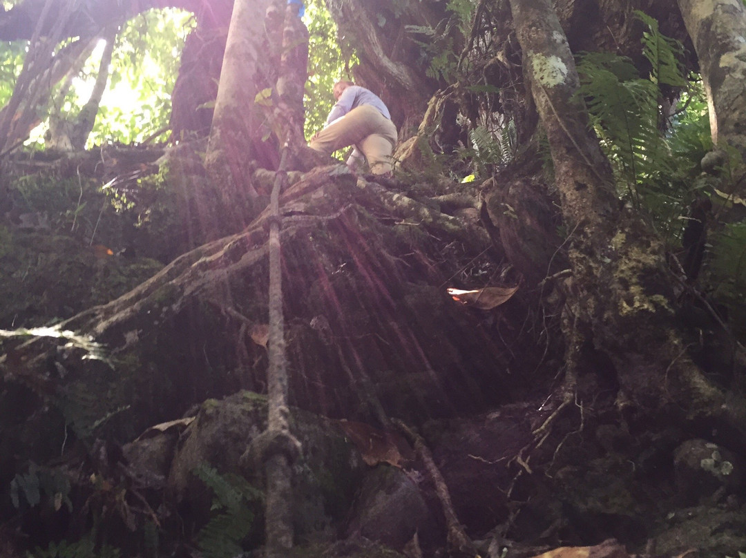 Takitumu Conservation Area-拉罗汤加必去景点