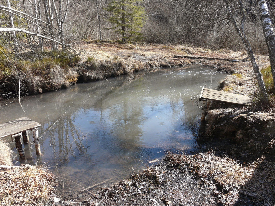 Buffogo Swamp景点图片