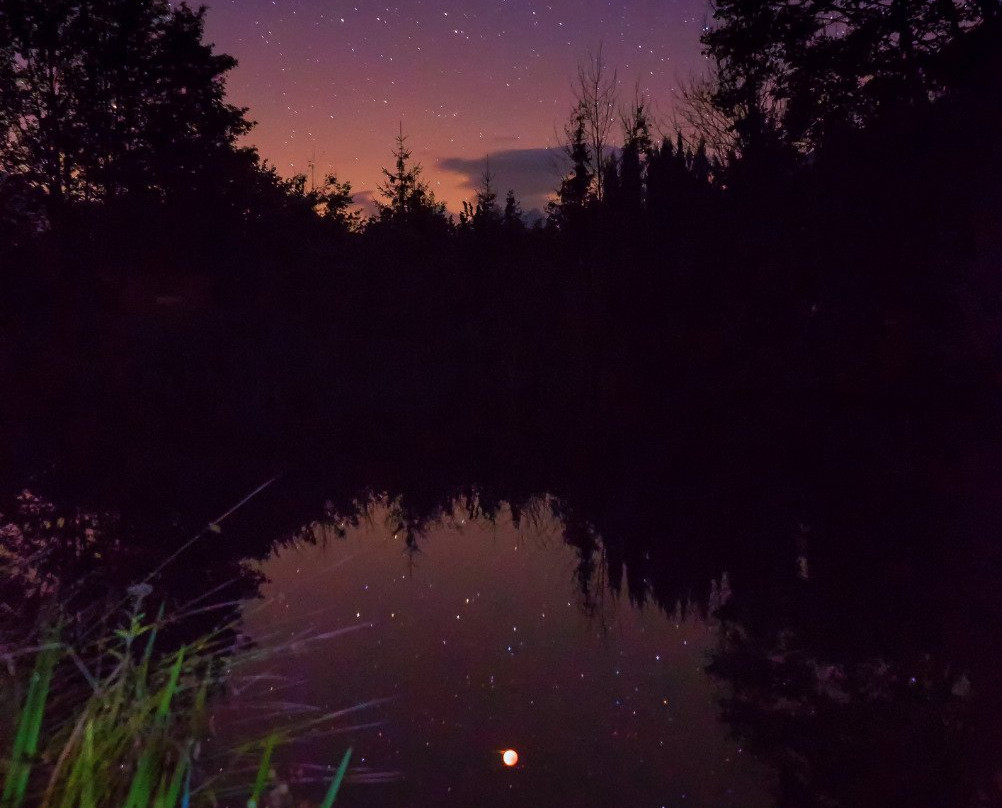 Hotel Berghof Brunner主图