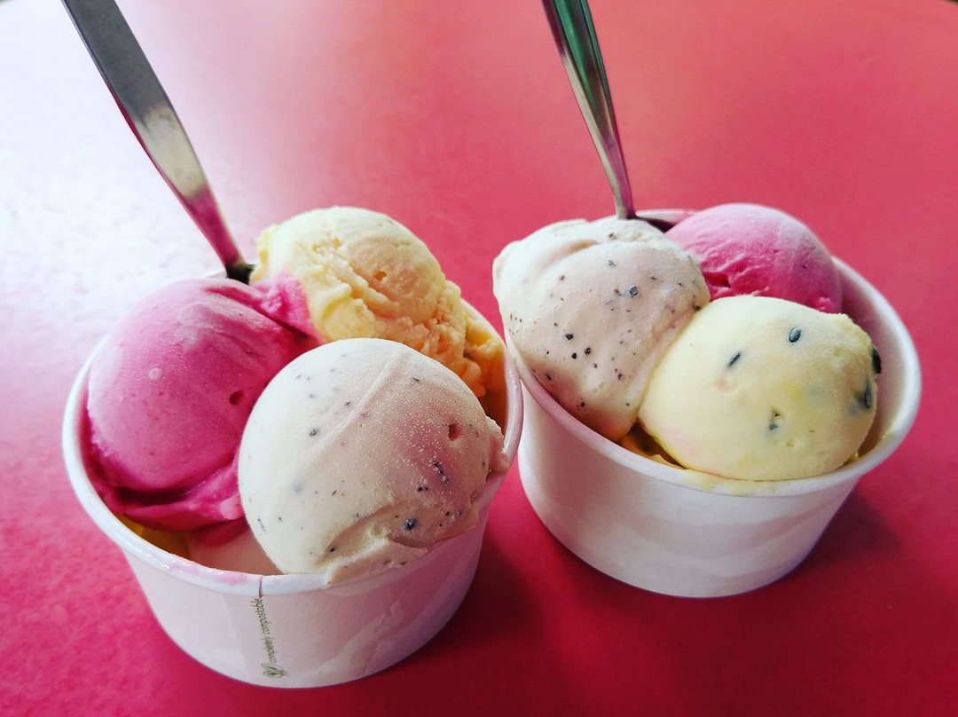 Ayton餐馆和美食-Daintree Ice Cream Company