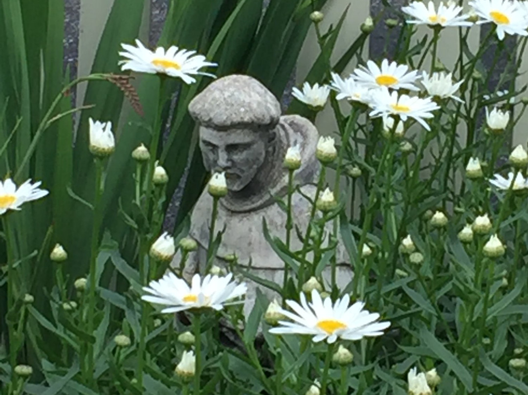 The Washington Street Inn Bed and Breakfast主图