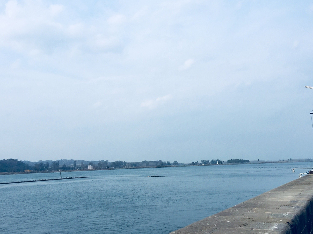 Ropar Wetland (Ropar Lake)景点图片