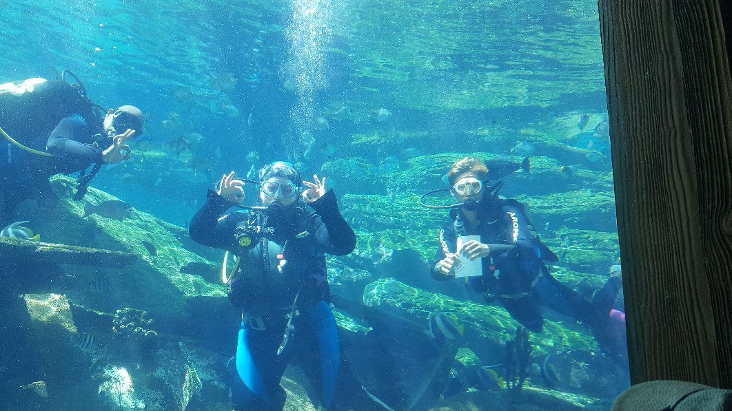 Umhlanga Scuba景点图片