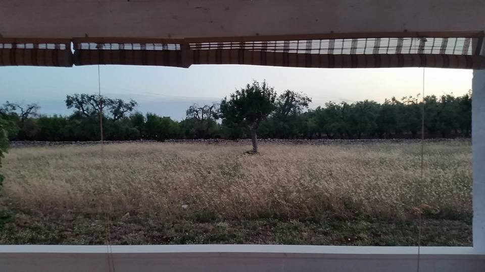 Masseria Belfiore主图