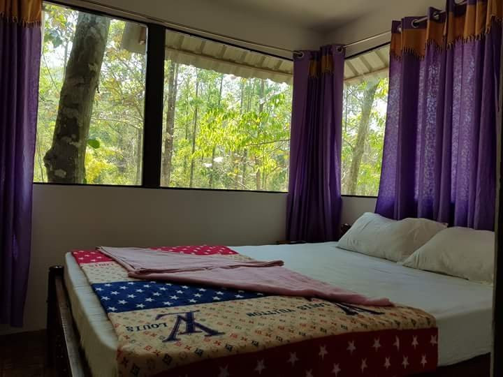 Ponmudi Valley Resort主图