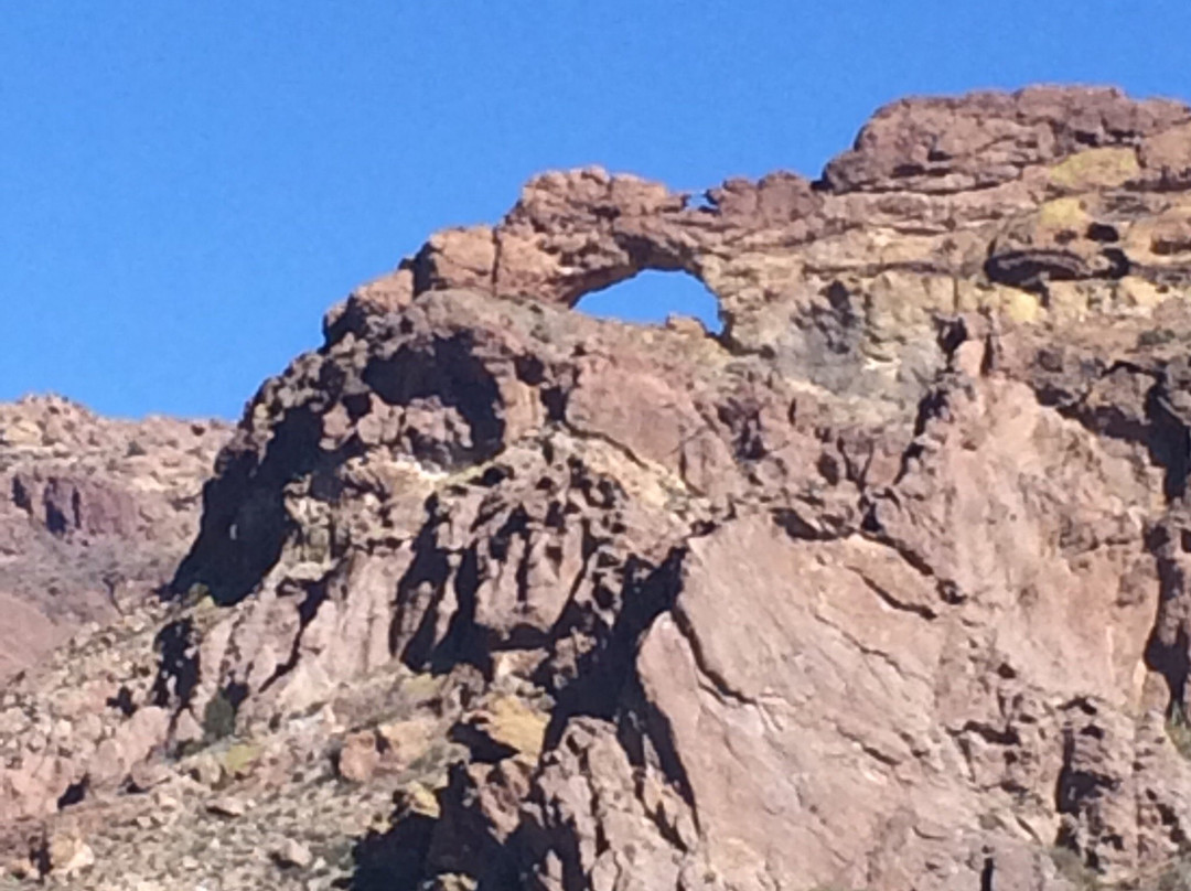 Puerto Blanco Scenic Drive-Ajo必去景点