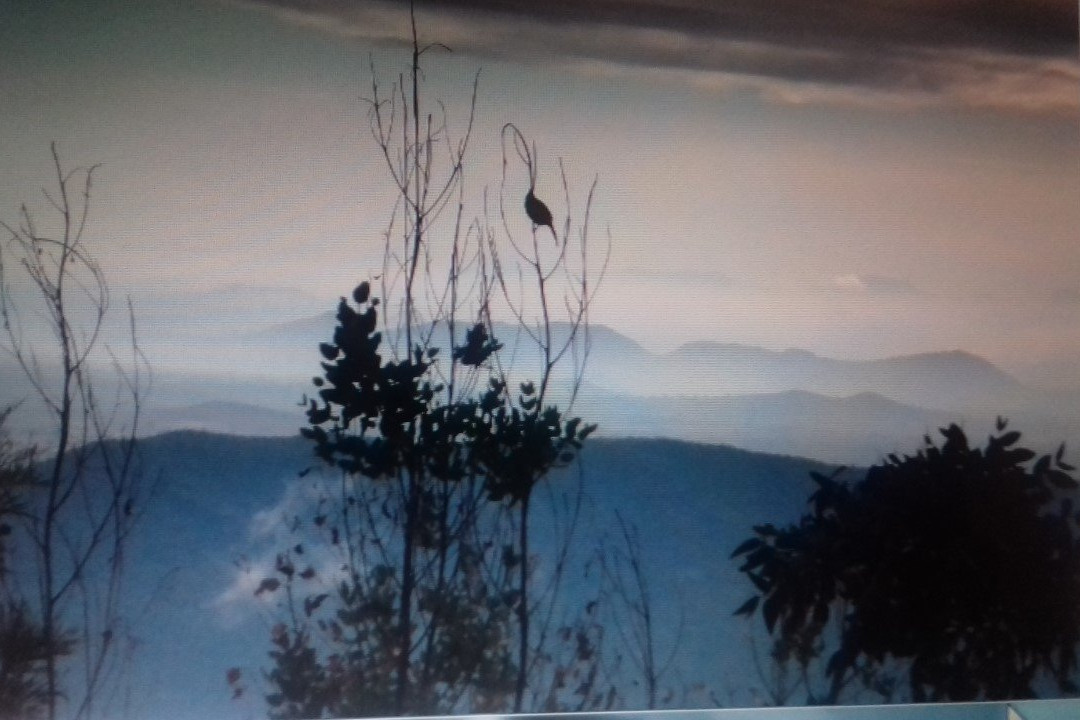 Wild Horizon Retreat主图