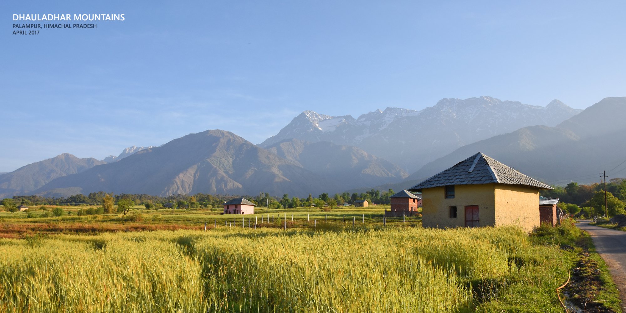 Seclude Palampur-酒店景观