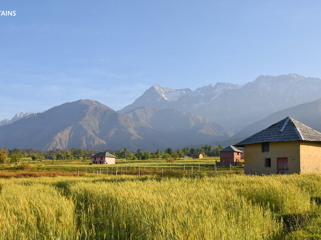 Seclude Palampur主图