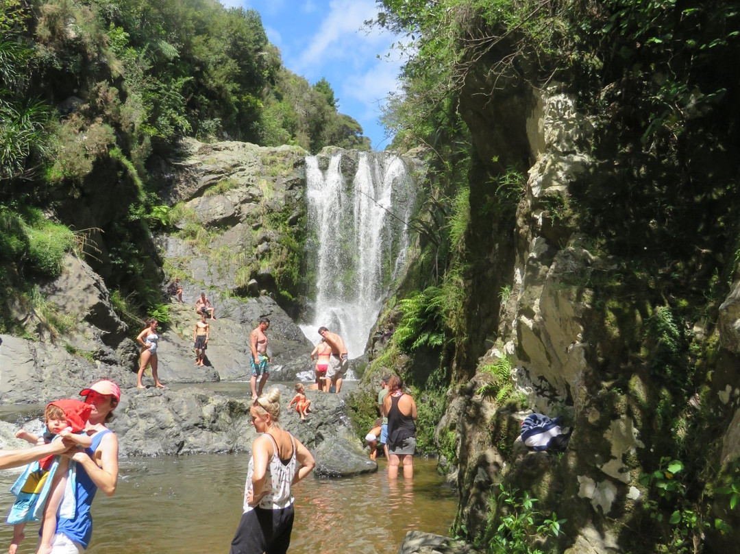 Piroa Falls Track景点图片