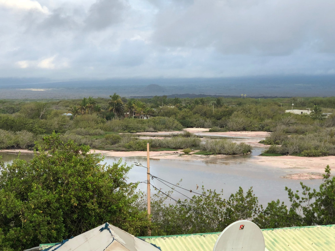 Hostal Rincon de George主图