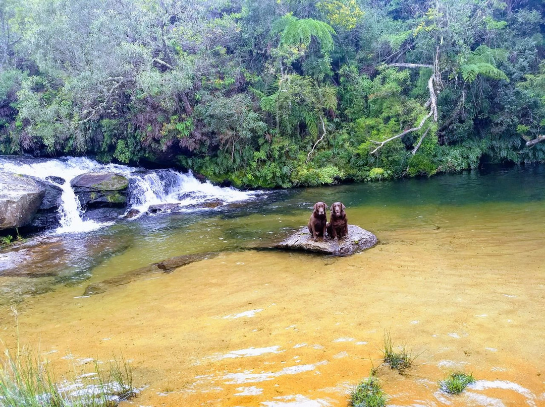 Cachoeira da Prainha景点图片