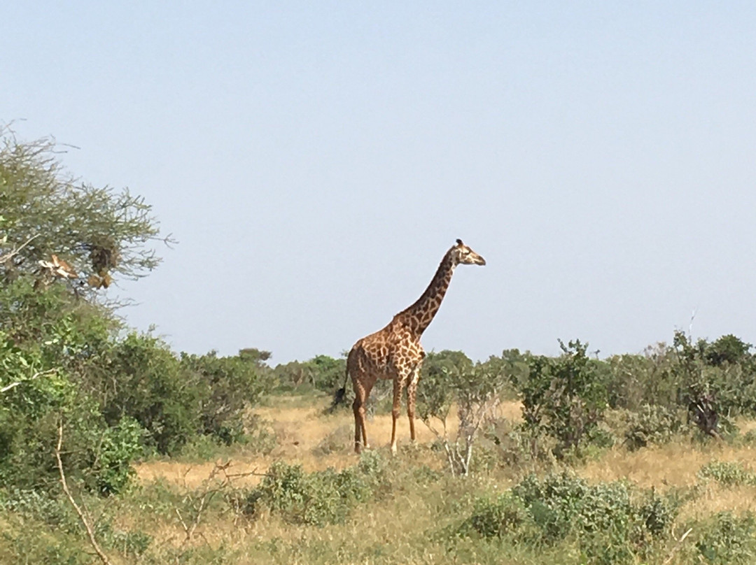 KenyaExpeditionLTD-蒙巴萨必去景点