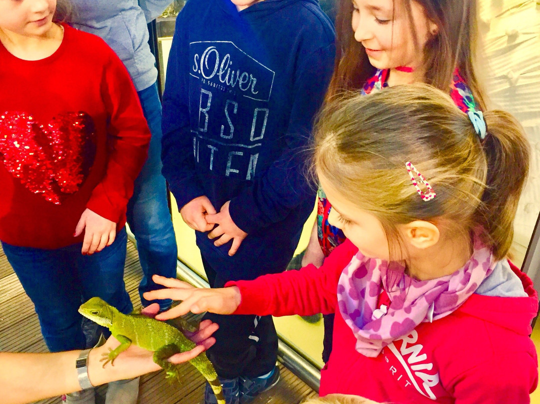 Kindermuseum Nurnberg-纽伦堡必去景点