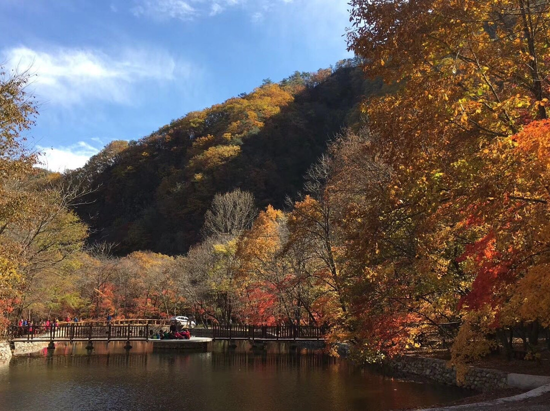 蒲石河森林公园-凤城市必去景点