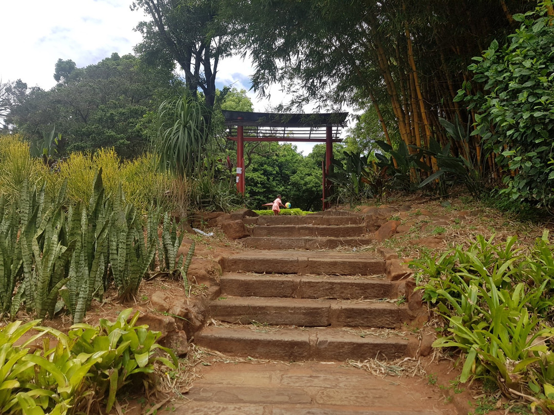 Durban North Japanese Gardens景点图片