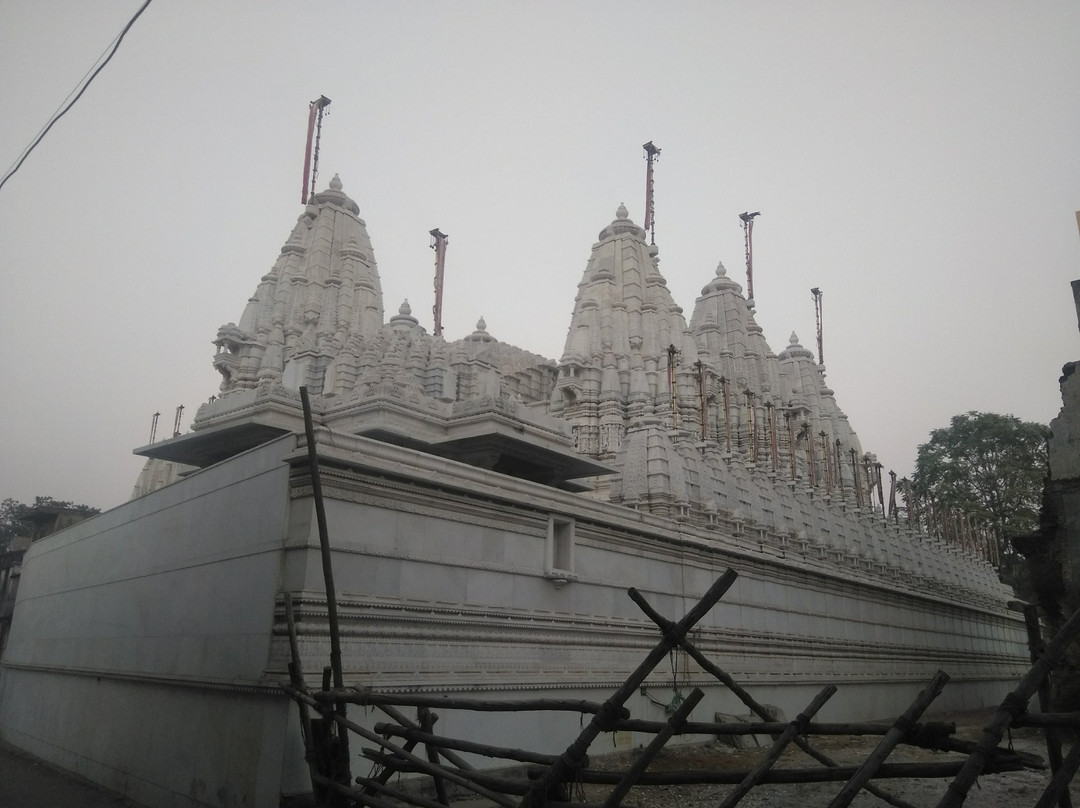 Pallaviya Parshwanath Temple景点图片