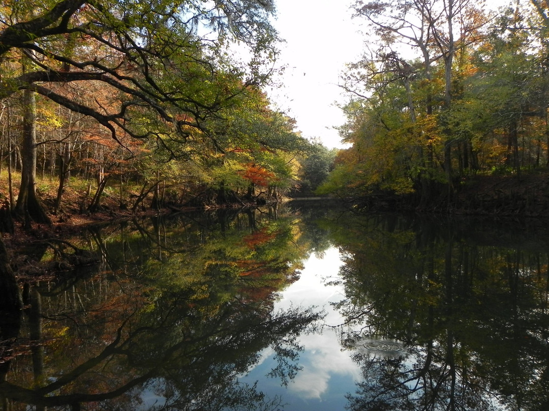 Hinson Conservation and Recreation Area景点图片