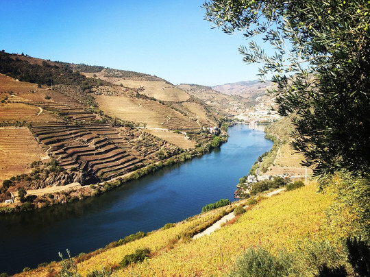 Touch Tours-波尔图必去景点