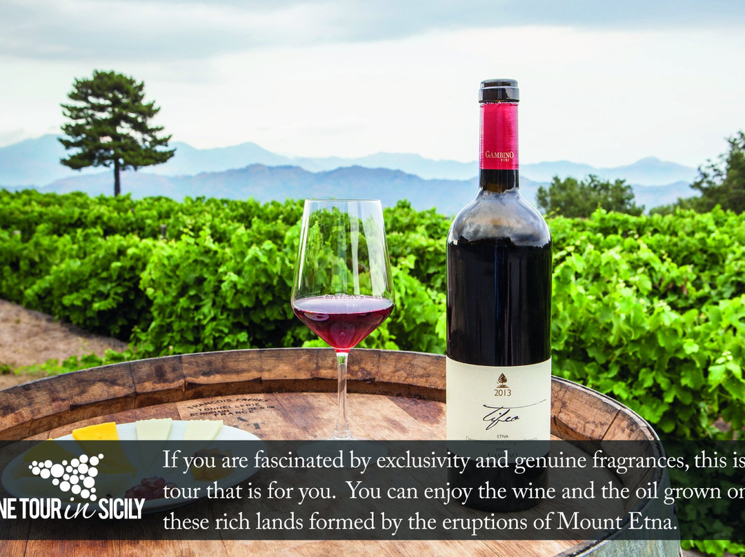 Wine Tour in Sicily - Day Tours景点图片