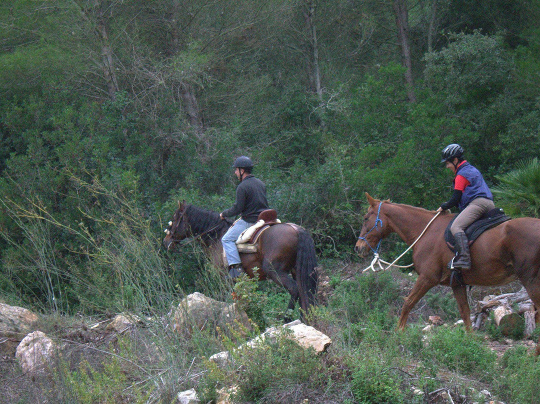 Asd Centro Ippico New Farm-阿尔盖罗必去景点