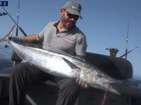 Madeira Sight Casting