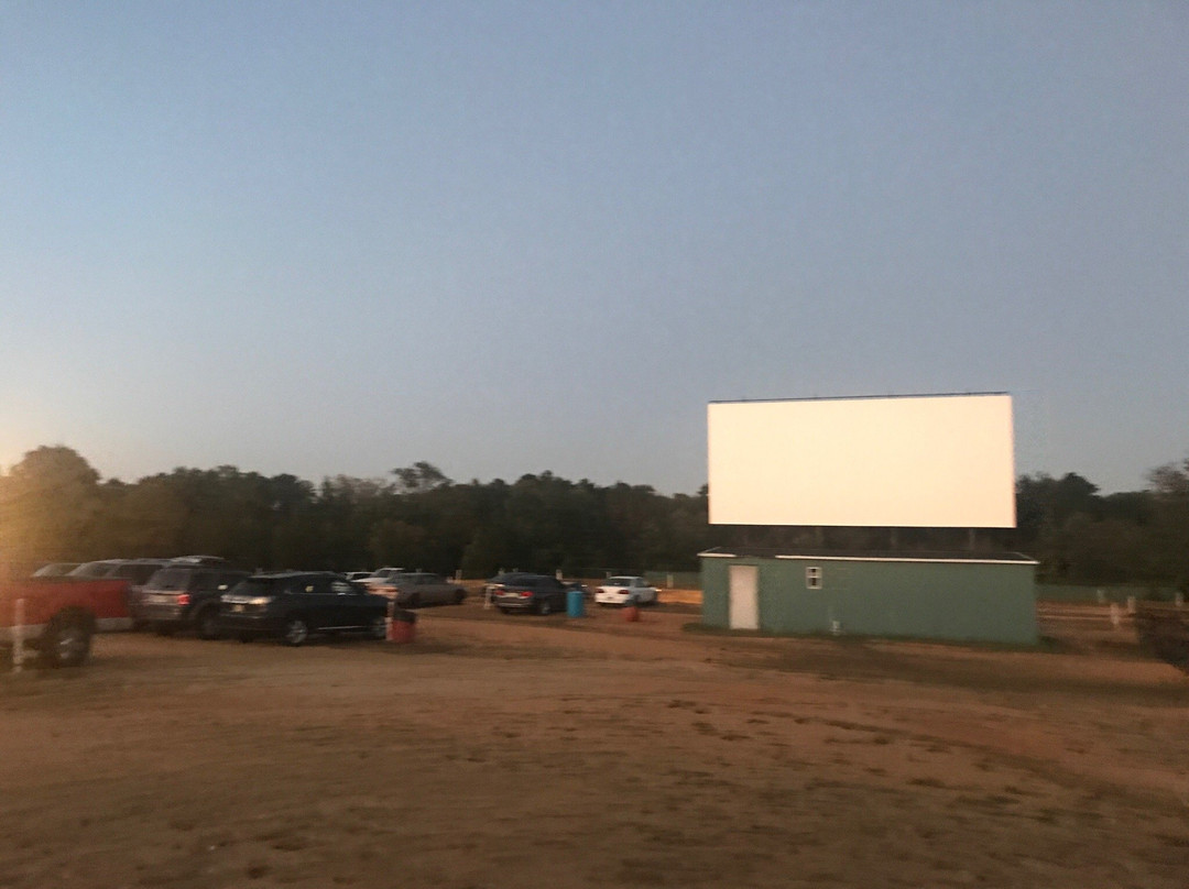 Delsea Drive-In Theatre景点图片